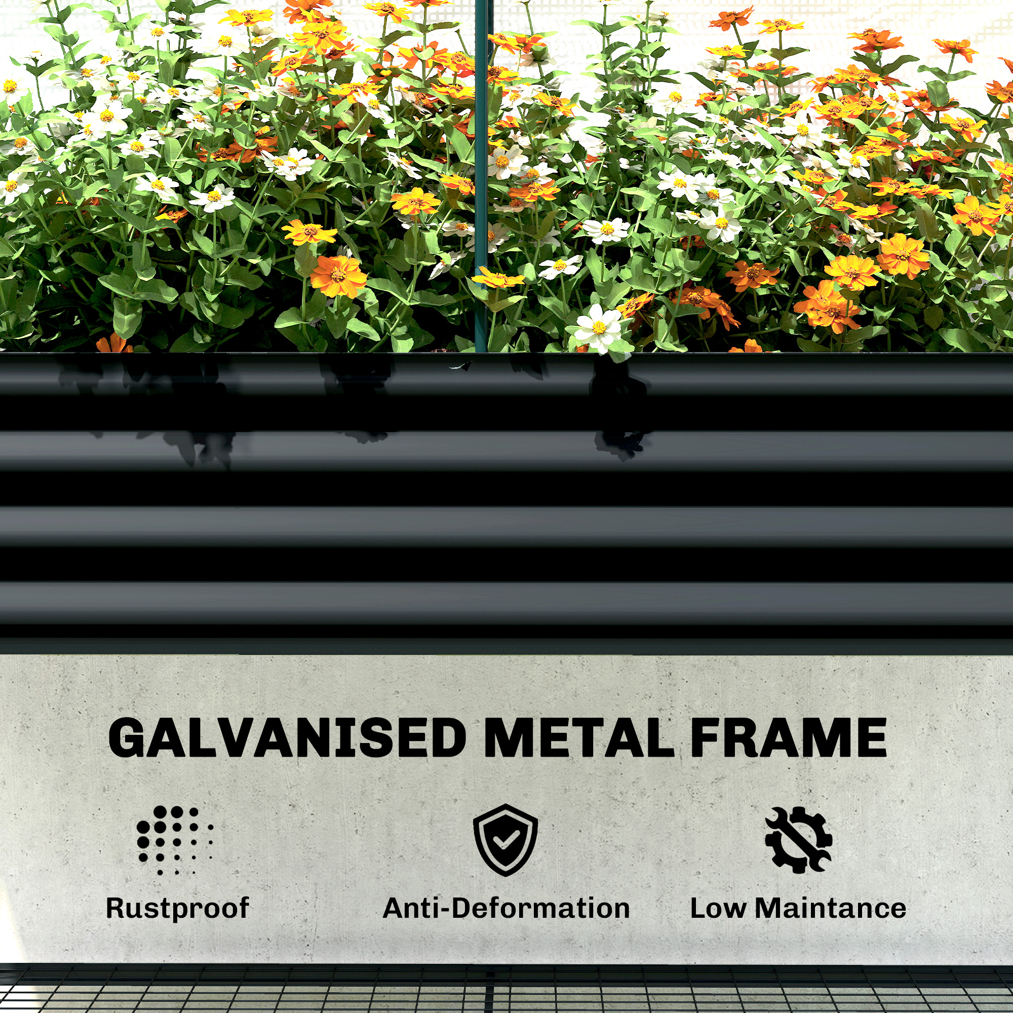 galleryImage