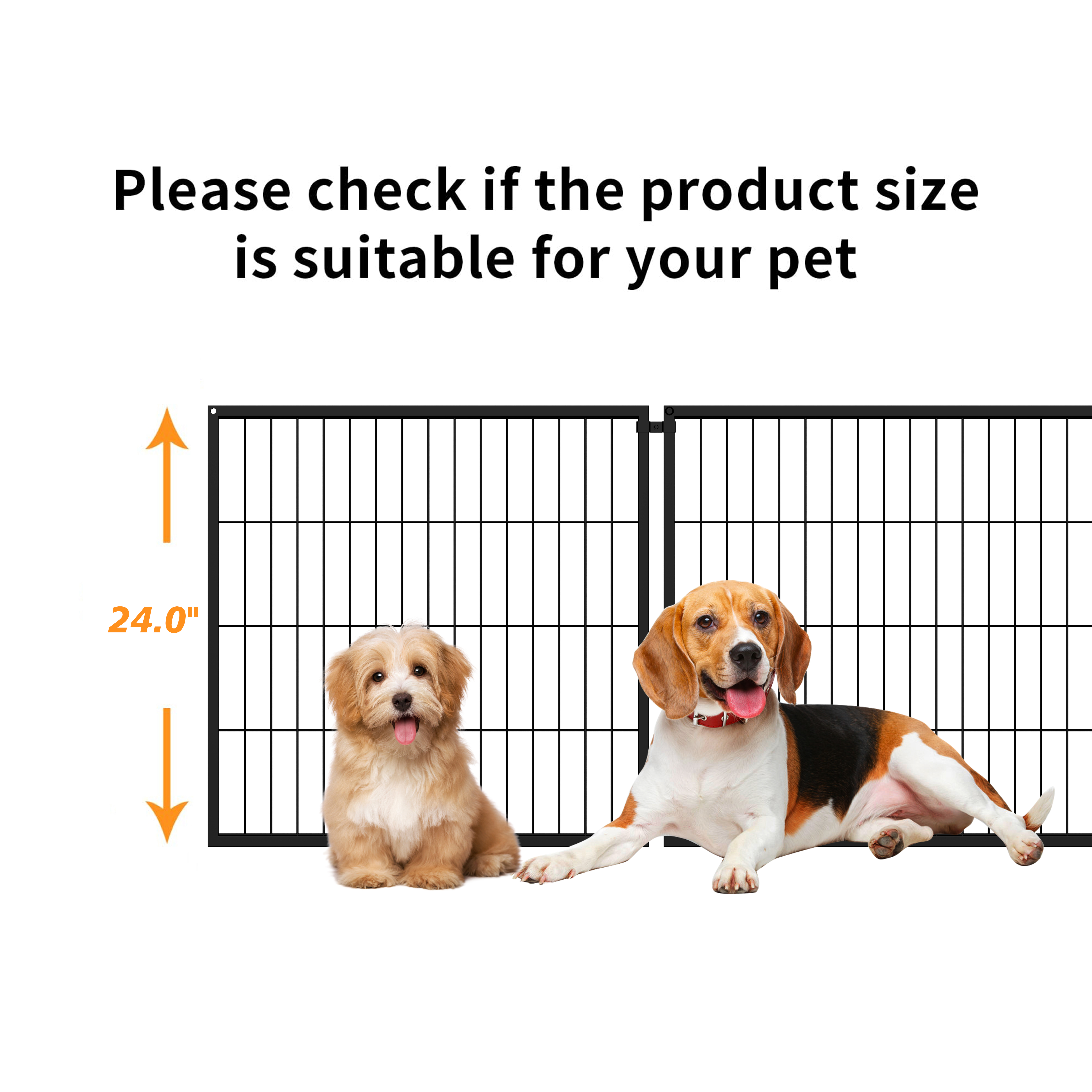 galleryImage